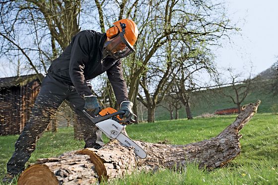 Sawing your own firewood with a Stihl chainsaw