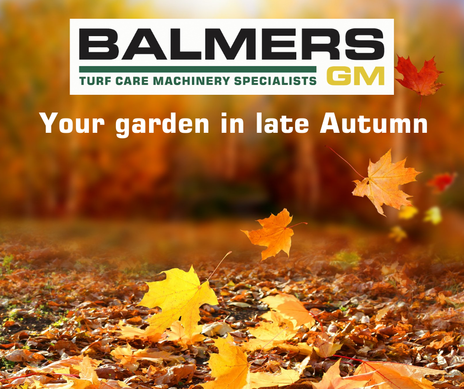 Your garden in late Autumn