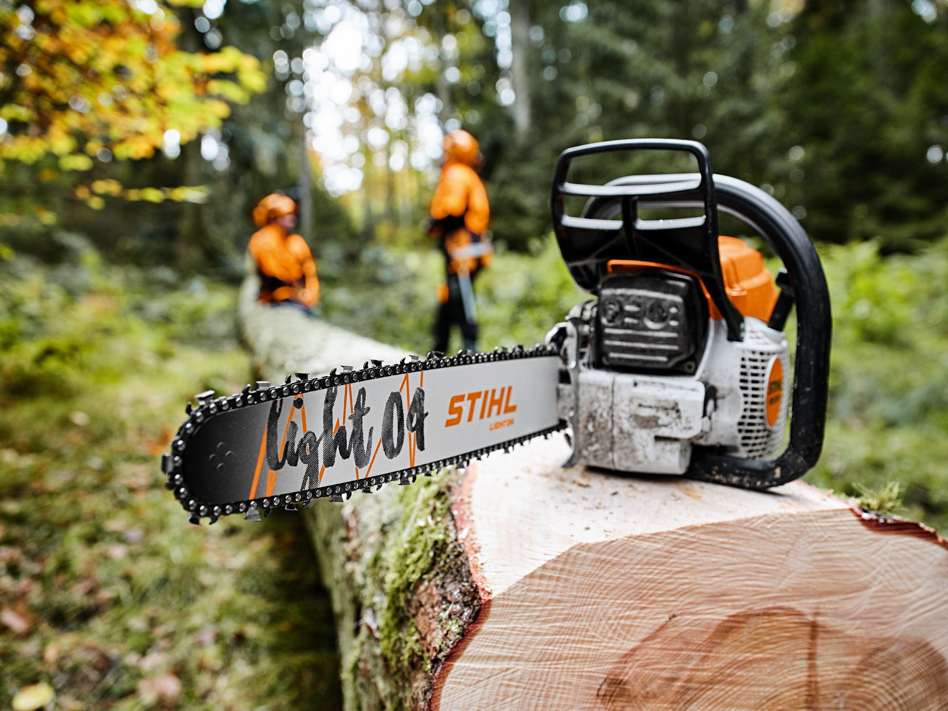 Sawing your own firewood with a chainsaw Sawing your own firewood with a chainsaw