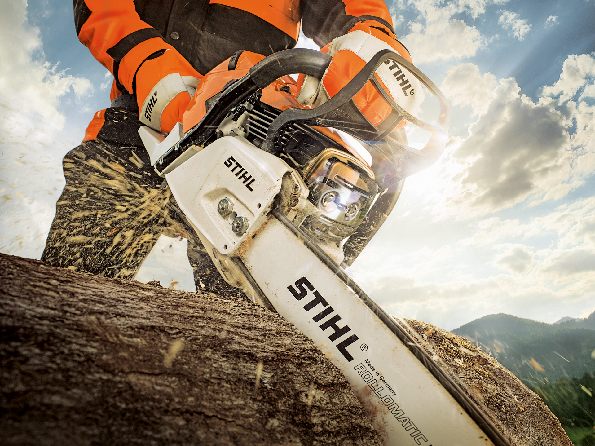 Stihl Chainsaws & Pole Pruners