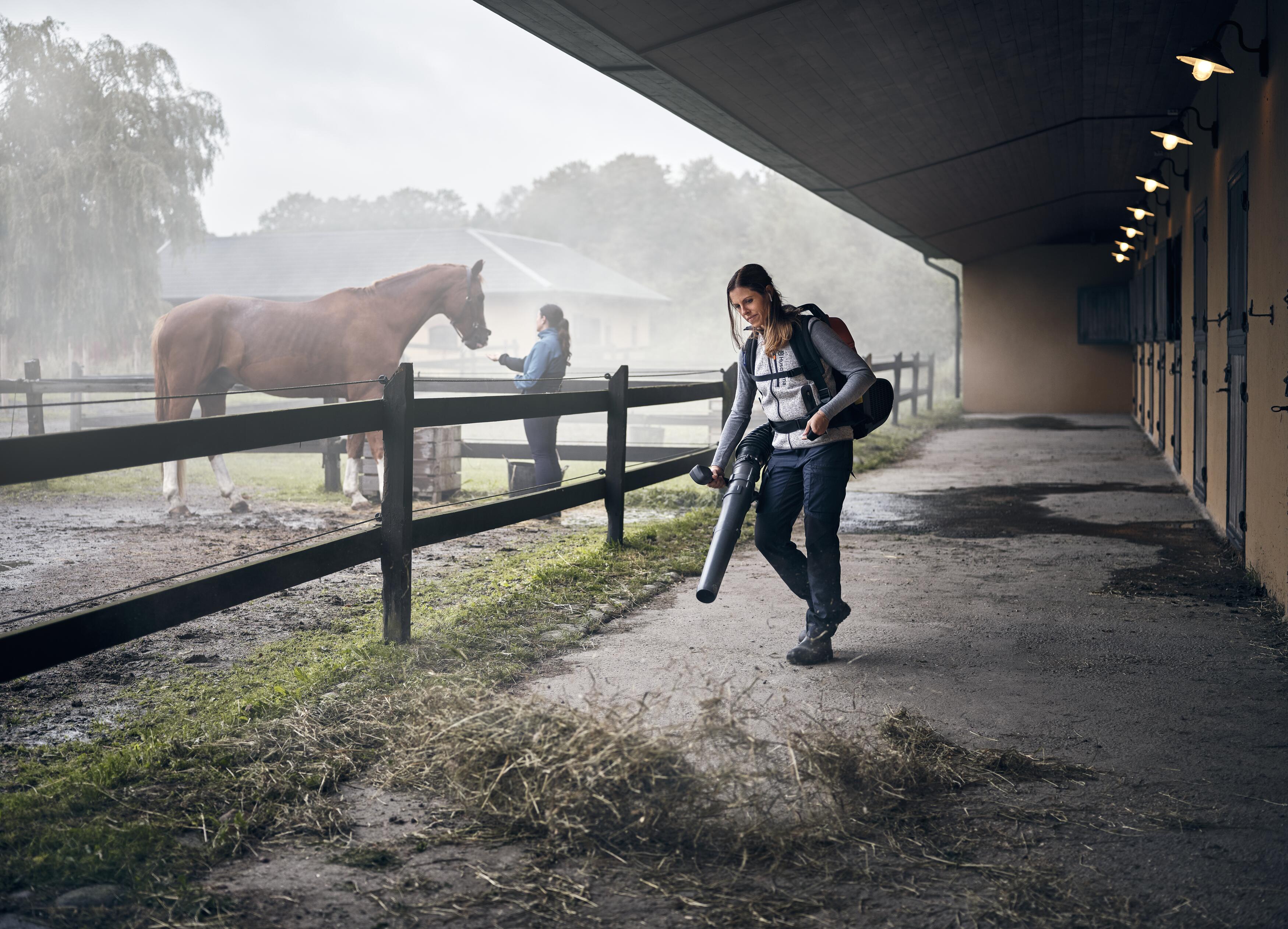Unleash the Power of Leaf Blowers this Autumn Unleash the Power of Leaf Blowers this Autumn