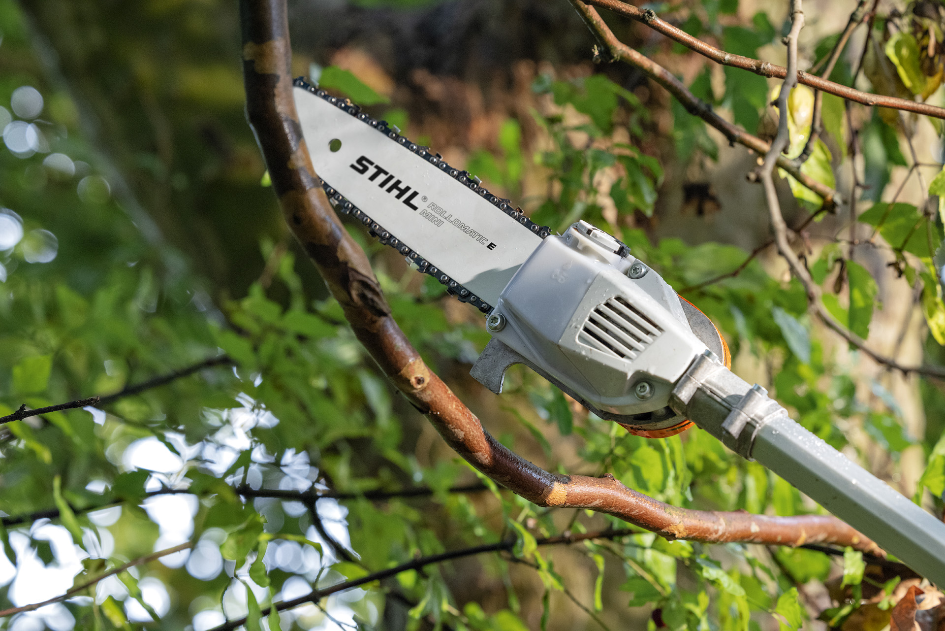 Stihl Chainsaws & Pole Pruners Stihl Chainsaws & Pole Pruners