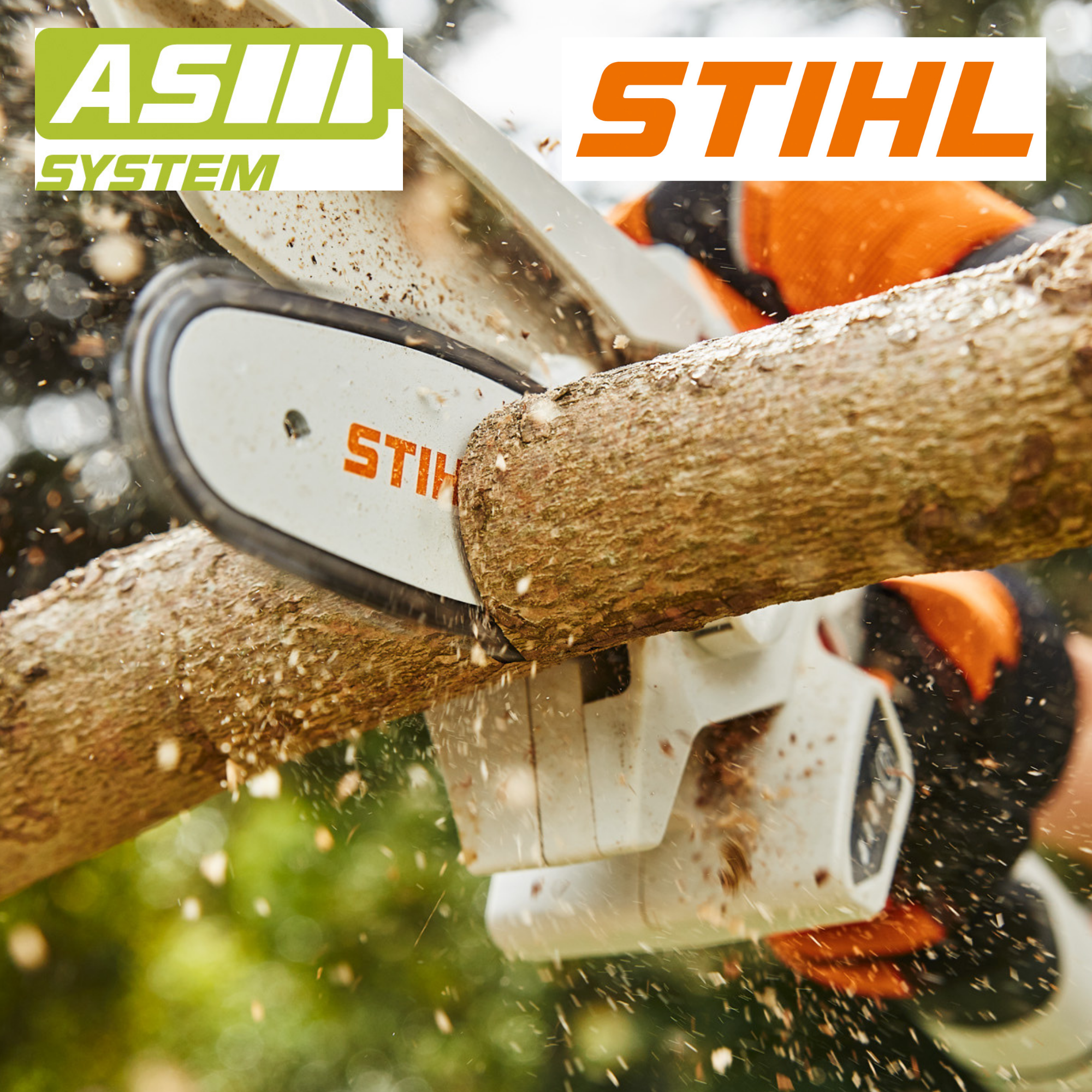 Tronçonneuse à batterie STIHL MSA 120 C-B - Pack 2 batteries