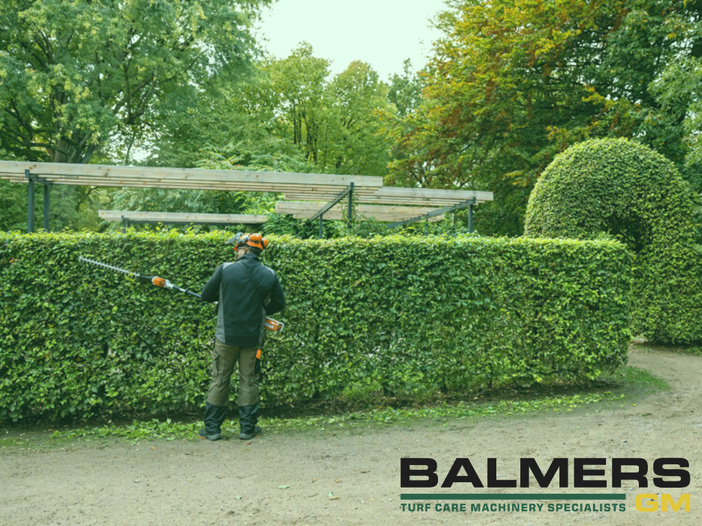 Stihl Hedge Trimmers - A Balmers GM Buying Guide Stihl Hedge Trimmers - A Balmers GM Buying Guide