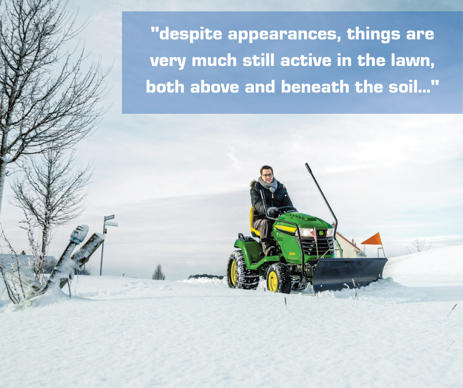 Watching out for Winter Lawn Problems Watching out for Winter Lawn Problems