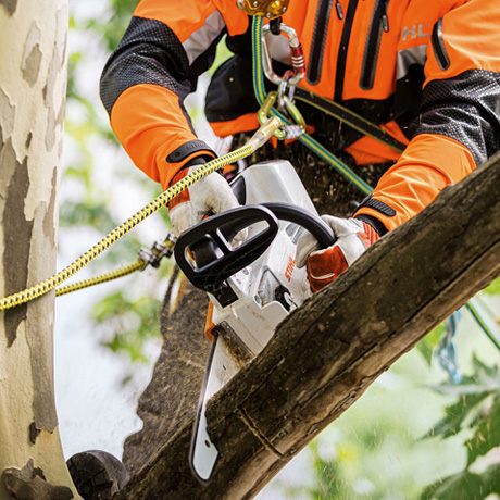 Our guide to professional chainsaws