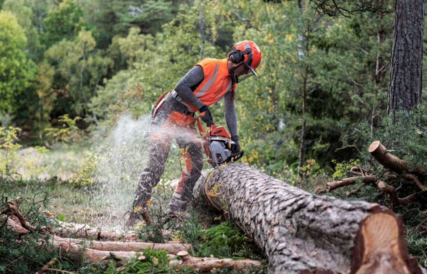 Our guide to professional chainsaws