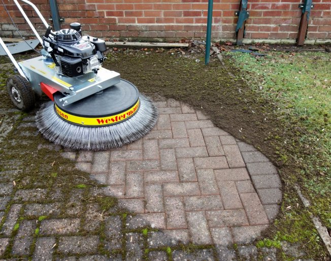 Westermann Moss Brushes