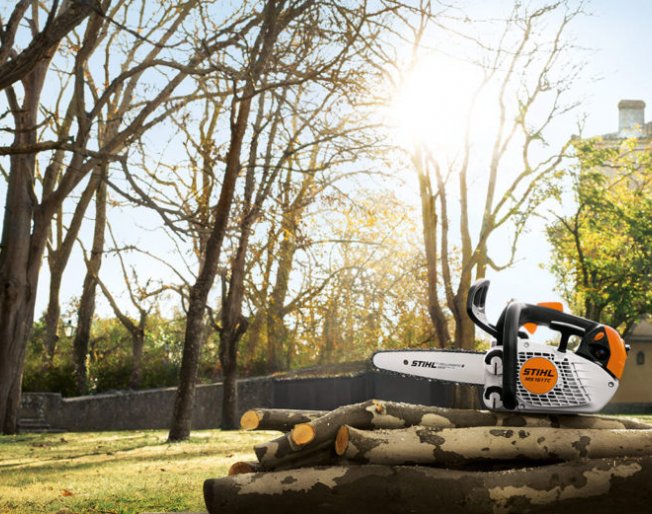 Our guide to professional chainsaws