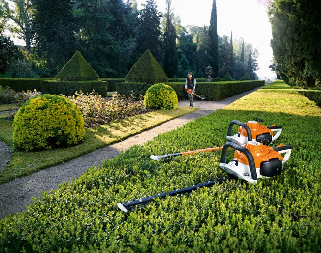 Balmers GM Guide to Buying a Hedge Trimmer