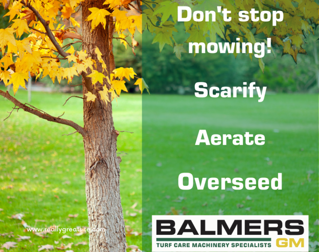 Tips for your Autumn Garden!