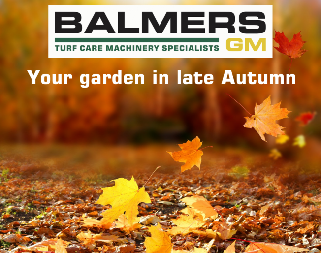 Your garden in late Autumn