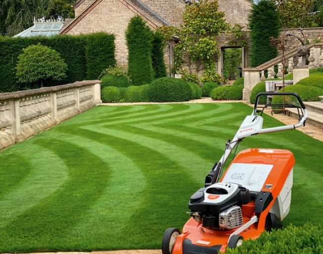 How to choose the best lawnmower for your lawn