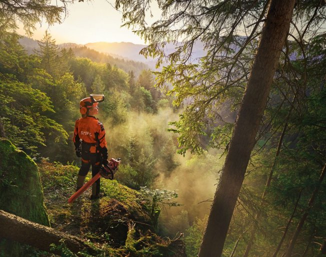 Celebrating 100 Years of STIHL