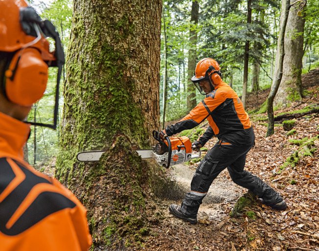 Don’t forget to purchase your chainsaw safety equipment: Chainsaw PPE