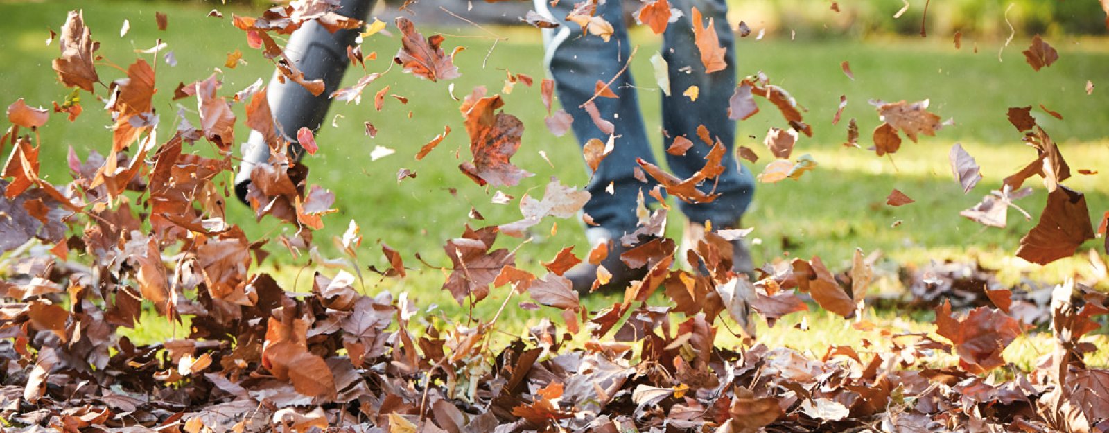 Stihl leaf blowers - Balmers Buying Guide