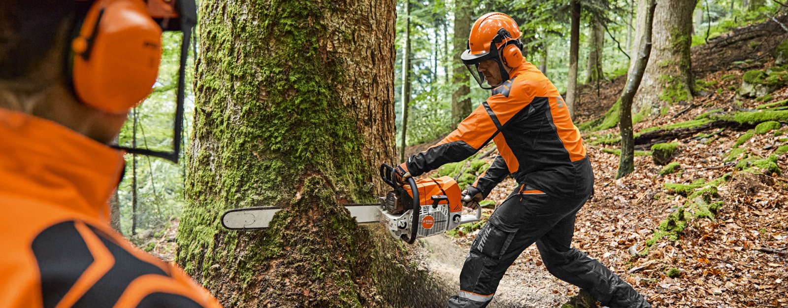 Stihl MS 881 - The world's most powerful production chainsaw