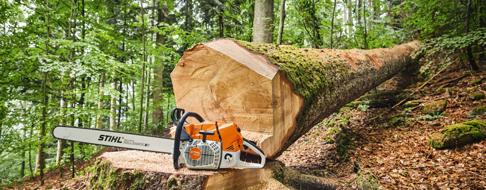 Stihl MS 881 - The world's most powerful production chainsaw