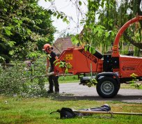 Timberwolf TW 230HB Petrol Chipper