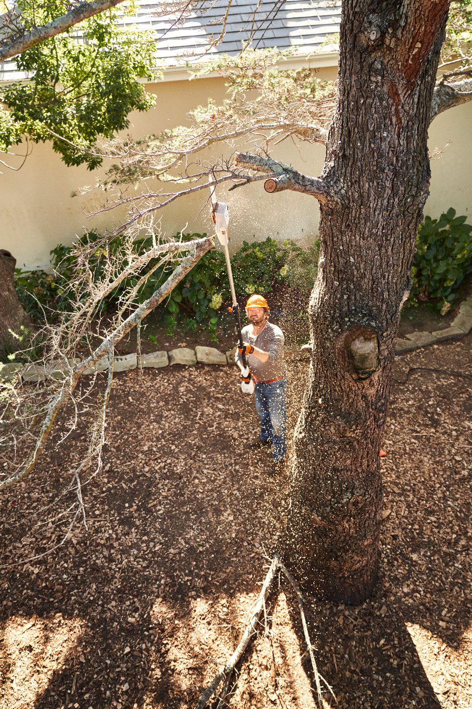 Introducing the new Stihl HTA 50 Cordless Pole Pruner