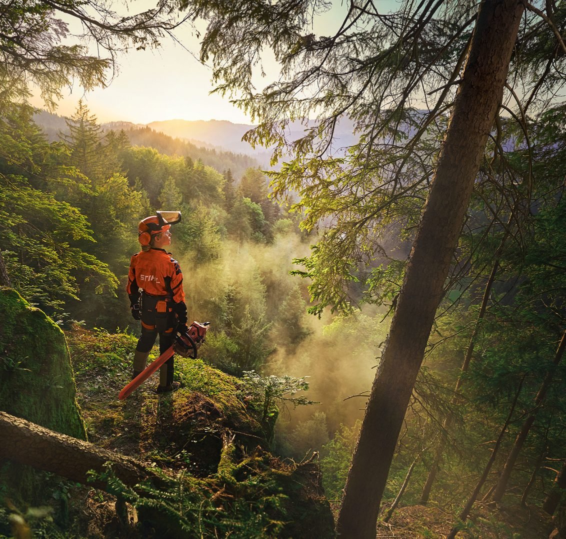 STIHL's 100 year sweepstake